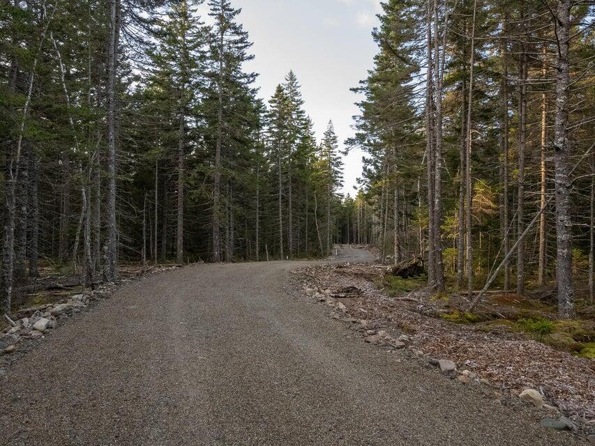 Road Picture