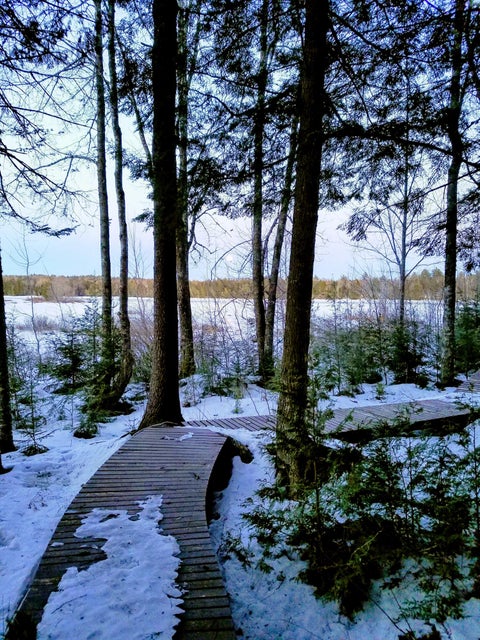Bog Walk
