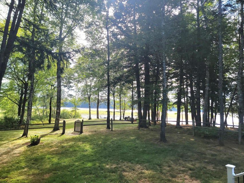 View From Deck