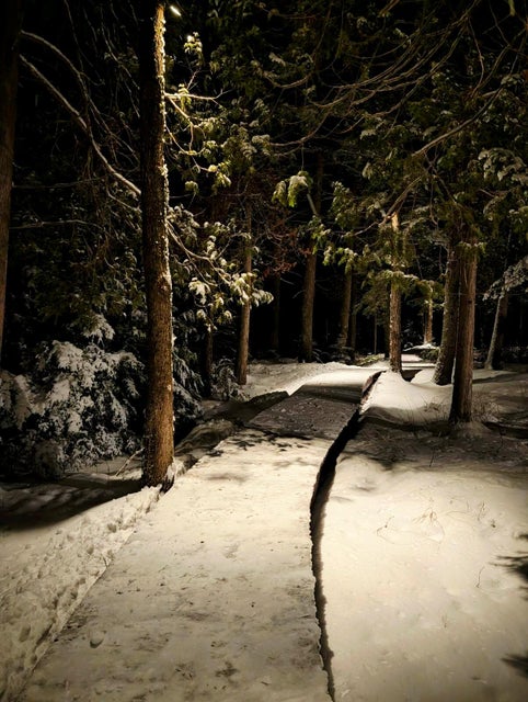 Bog Walk