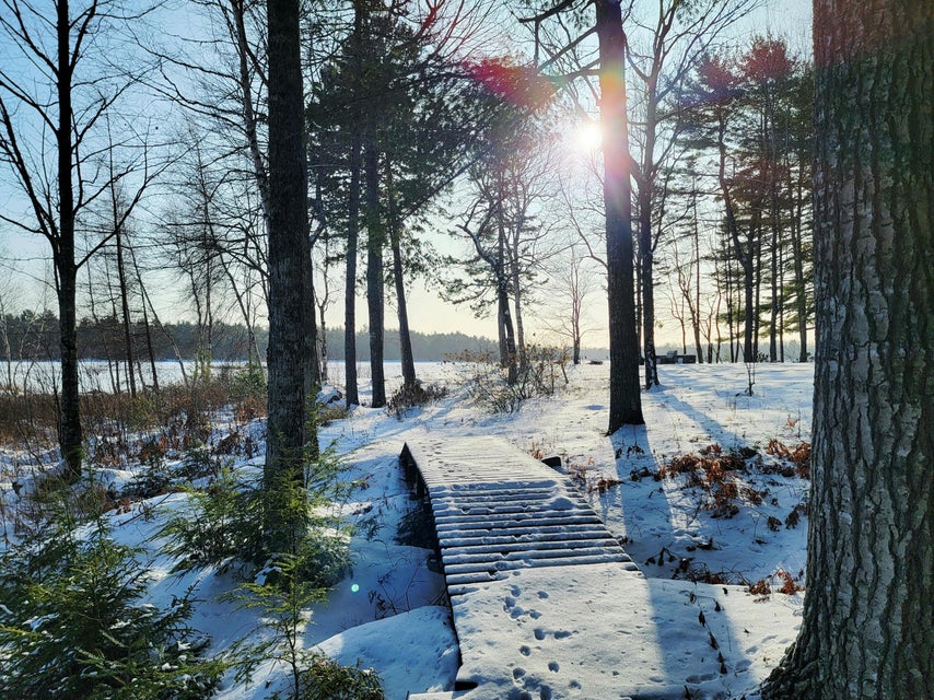 Bog Walk