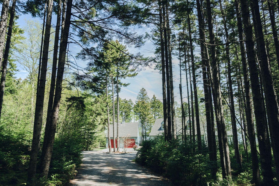 Beautifully wooded lane