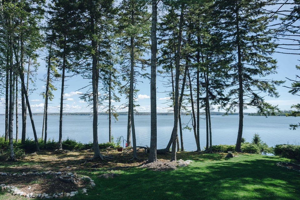 Lawn and ocean 2