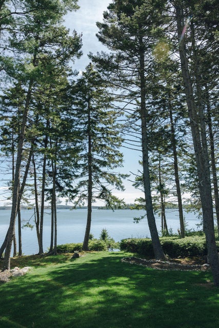 Lawn and ocean copy