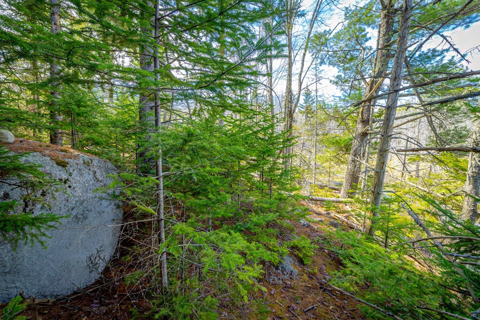 Copy of 26a-Lot 9, Bluff Road-DTP