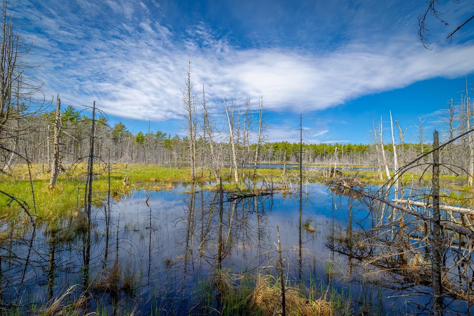 Copy of 26-Lot 9, Bluff Road-DTP