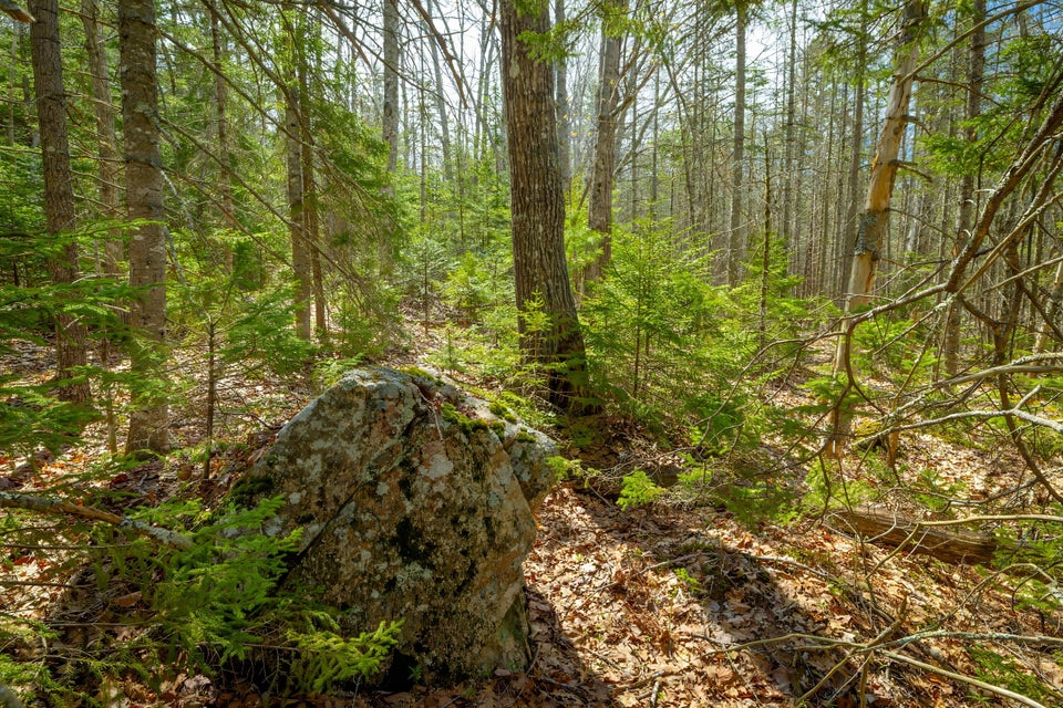 Copy of 40b-Lot 9, Bluff Road-DTP