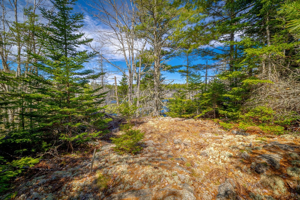 Copy of 40-Lot 9, Bluff Road-DTP