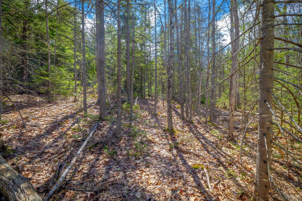 Copy of 41-Lot 9, Bluff Road-DTP