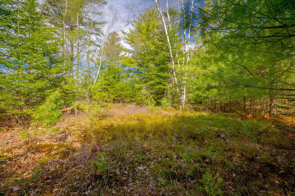 Copy of 47-Lot 9, Bluff Road-DTP