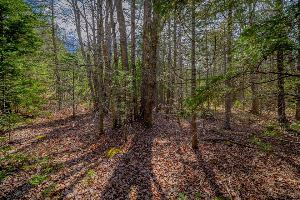 Copy of 48-Lot 9, Bluff Road-DTP