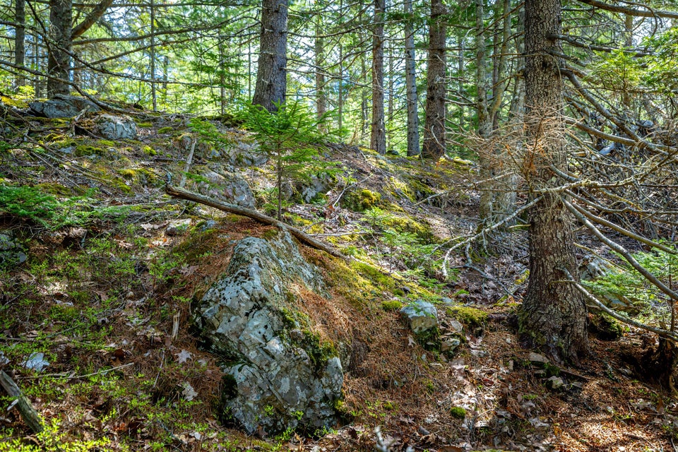 Copy of 57-Lot 9, Bluff Road-DTP