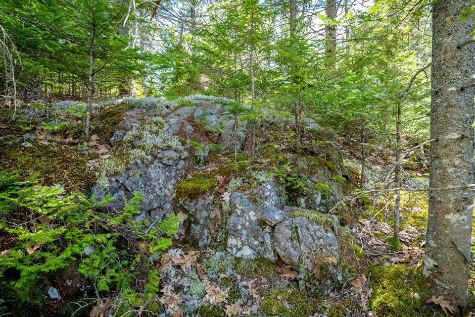 Copy of 59-Lot 9, Bluff Road-DTP