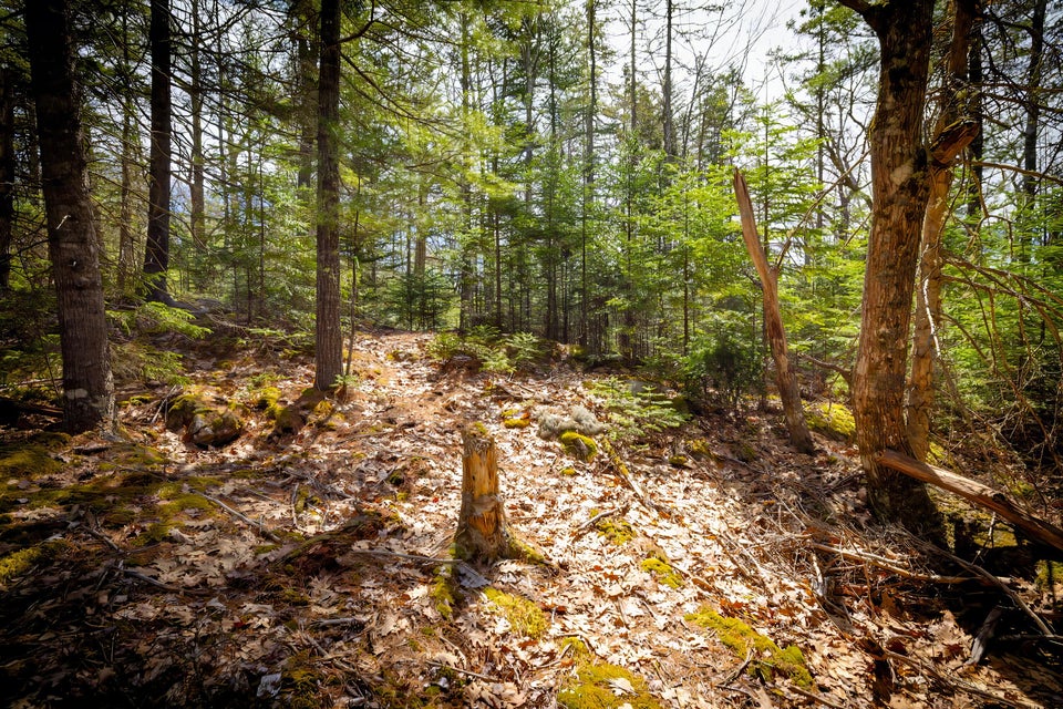 Copy of 60-Lot 9, Bluff Road-DTP