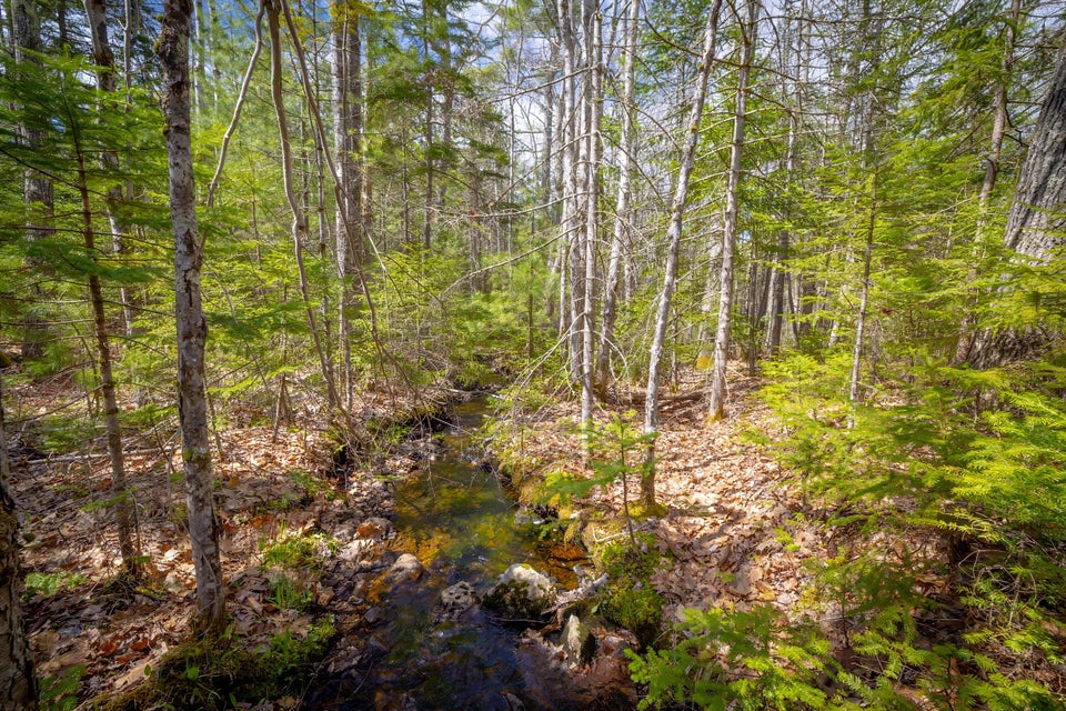 Copy of 62-Lot 9, Bluff Road-DTP