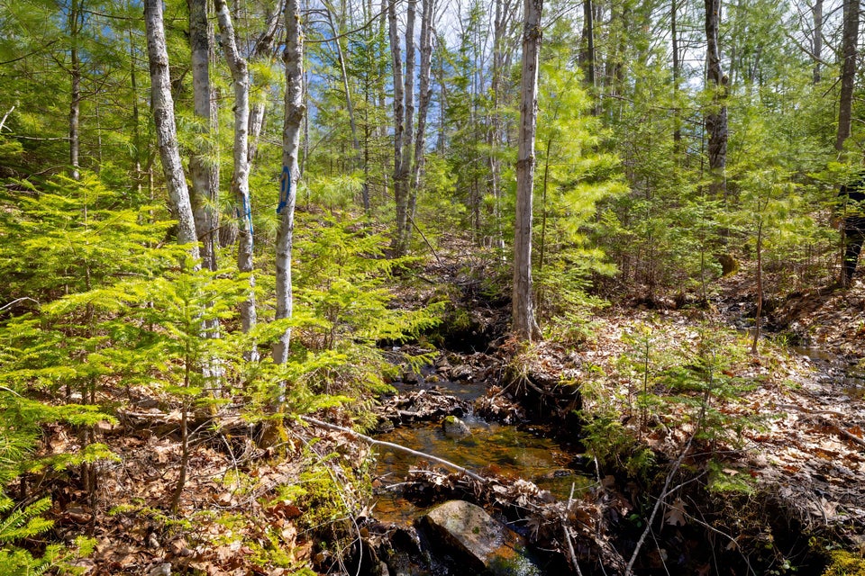 Copy of 63-Lot 9, Bluff Road-DTP