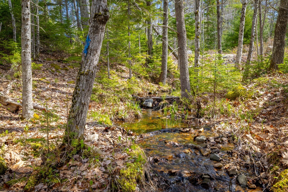 Copy of 65-Lot 9, Bluff Road-DTP
